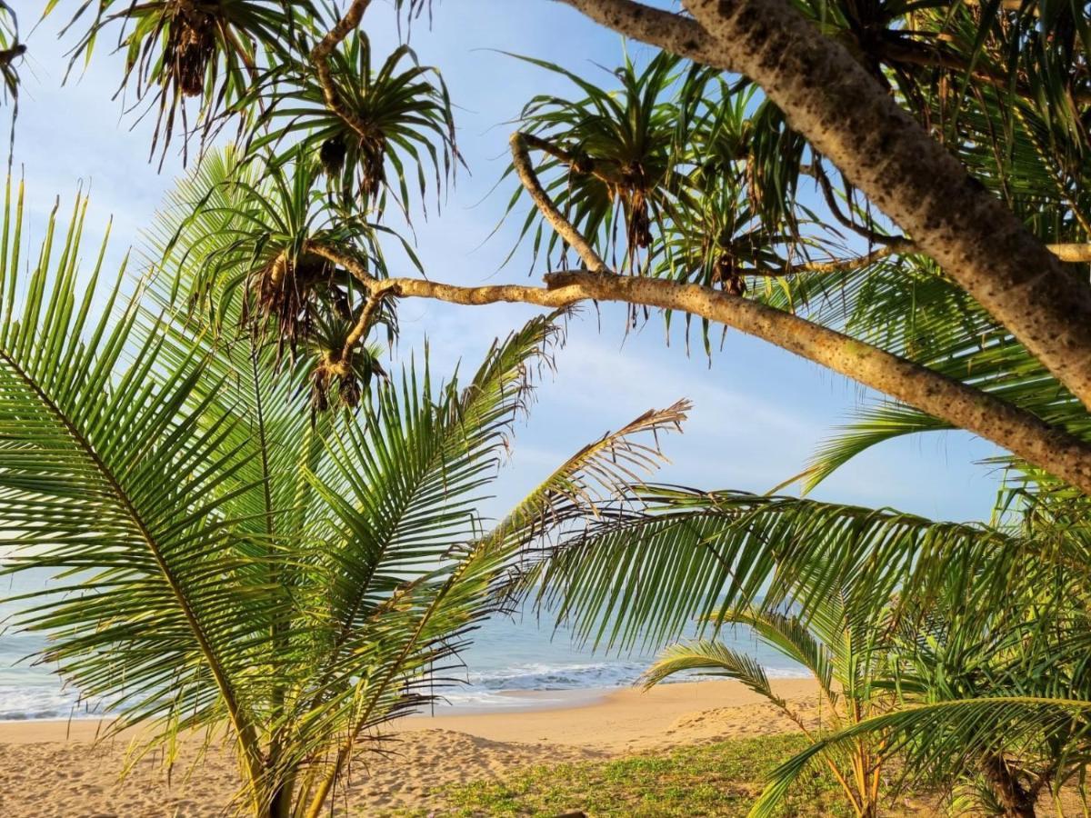Golden Beach Paradise Tangalle Exterior foto
