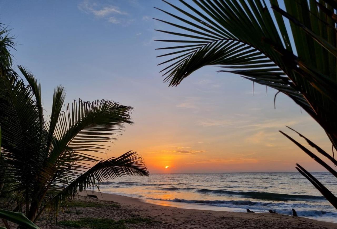 Golden Beach Paradise Tangalle Exterior foto